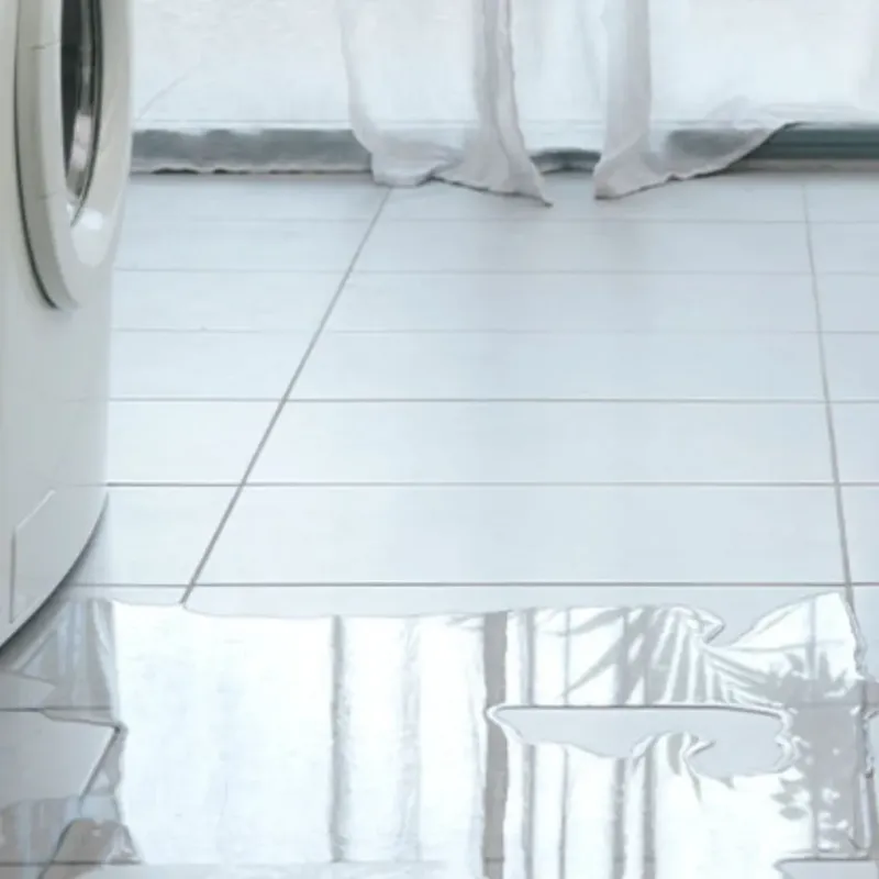 Appliance Leak Cleanup in Glenwood, AR