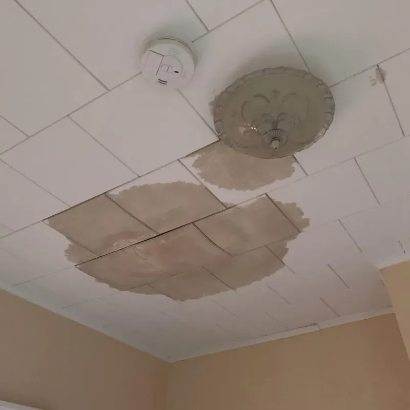 Ceiling Water Damage Repair in Glenwood, AR