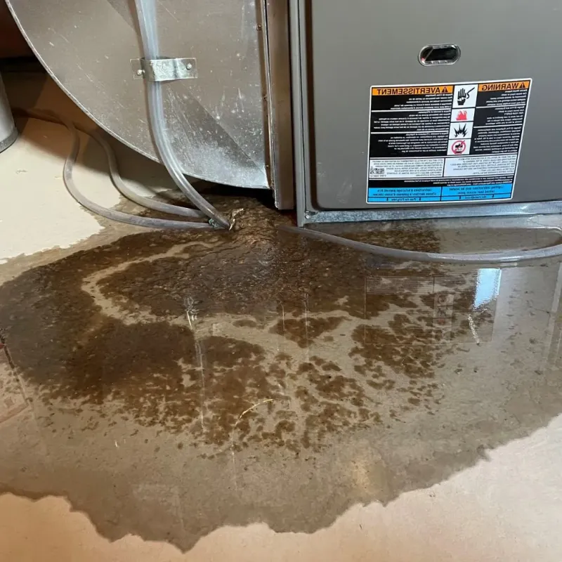 Pipe Burst and Leak Restoration in Glenwood, AR